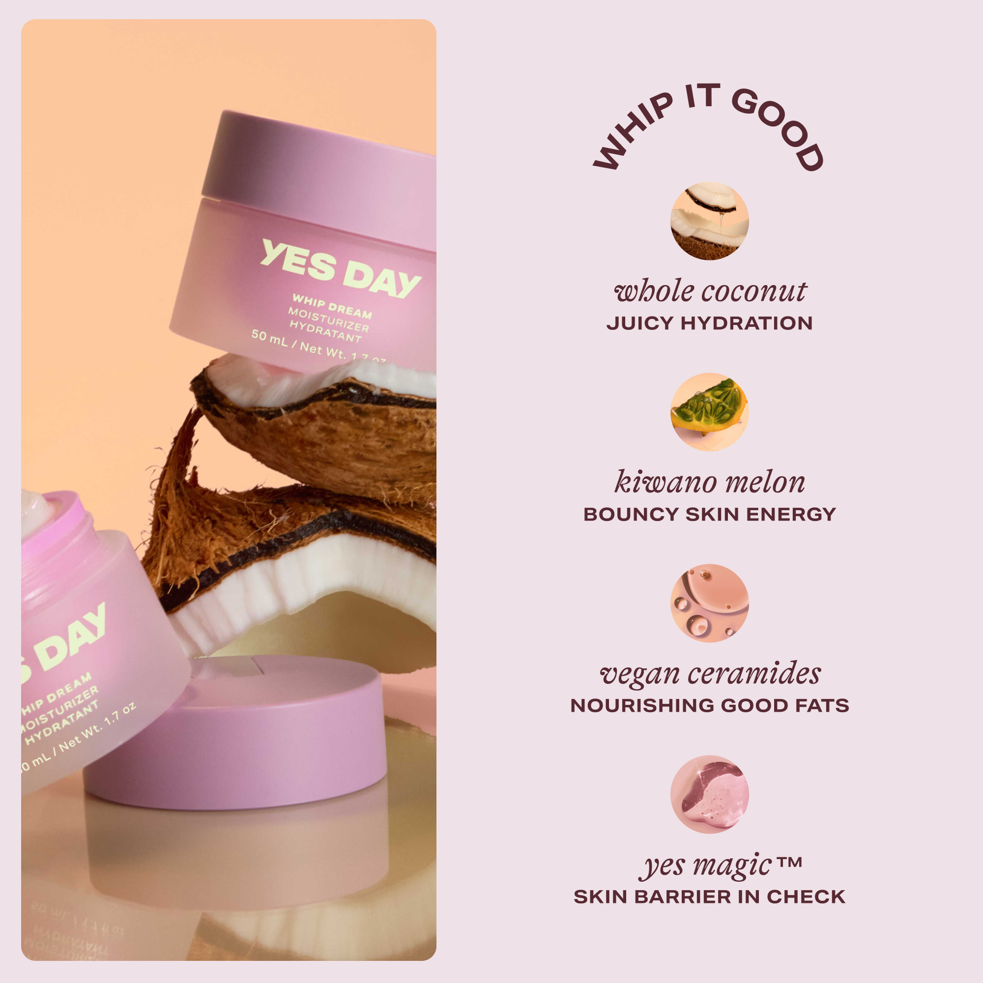 Whip Dream Moisturizer